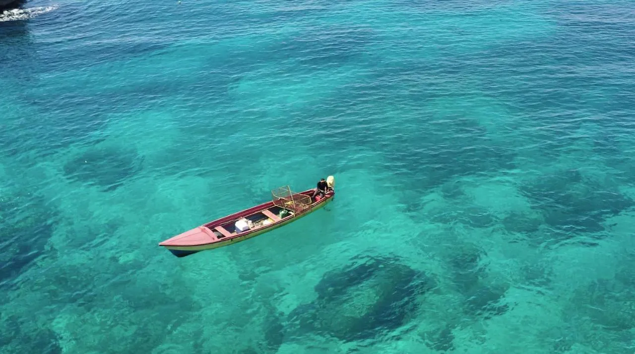 Tensing Pen Hotel Negril